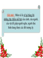 TLV - Tuần 14 - Thế nào là miêu tả?