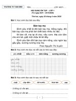 Đề cương ôn tập Toán - Tiếng Việt lớp 1 - Tuần 25