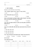 Đề cương ôn tập Toán - Tiếng Việt lớp 3, tuần 24