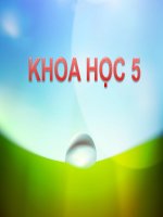 Khoa học  5 - Tuần 2 - Bài 4: Cơ thể chúng ta được hình thành như thế nào?
