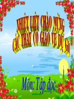 Tập đọc 4 - Tuần 8 - Nếu chúng mình có phép lạ