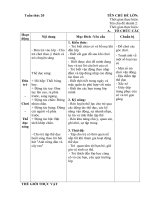giáo án chủ nhiệm tuần 20
