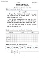 Đề cương ôn tập Toán - Tiếng Việt lớp 1 - Tuần 26