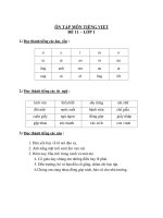 Nội dung ôn tập trực tuyến môn Tiếng Việt Khối Lớp 1 - Đề số 11