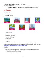 Tuần 26 - English 4 - Unit 9: What’s the fastest animal in the world ?