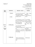 tuần 17