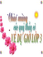 LUYỆN TỪ VÀ CÂU 3- TUẦN 20- MỞ RỘNG VỐN TỪ TỔ QUỐC. DẤU PHÂY