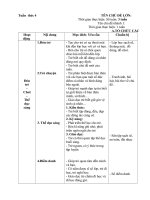 Giáo án chủ nhiệm tuần 4: Tôi Là ai