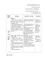 giáo án nhánh 1 bé mong đón Tết chủ đề Tết và mua xuân