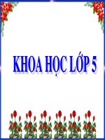 Lop 5 - KHOA HOC - Bai 68 - Mot so bien phap bao ve moi truong