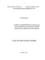 Nghiên cứu bệnh đốm nâu (alternaria sp ) gây hại trên cây chanh leo và biện pháp quản lý bệnh tại tỉnh nghệ an 