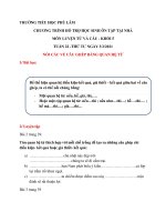 Chương trình ôn tập Khối 5 Tuần 22