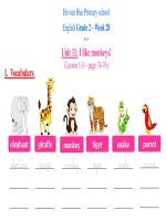 Bài giảng trực tuyến môn Tiếng Anh tăng cường - Khối lớp 2 - Tuần 28