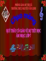 Âm nhạc 8 Tiet 29 am nhac thuong thuc nhac si so panh va ban nhac buon 