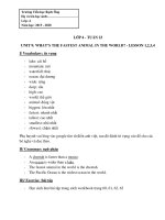 Tiếng Anh lớp 4 - Tuần 23