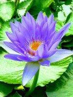 ON TAP GIUA KI 1 TIET 3&4