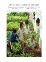 GIAO AN TUAN 13 VUON CAY CUA BE