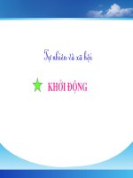 Tự nhiên xã hội - Tuần 5 - Cơ quan tiêu hóa