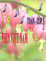 Toán 3- Tuần 25- Bài: Tiền Việt Nam