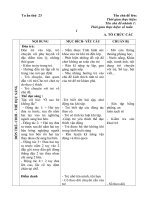 Giáo án tuần 23- Ngôi nhà thân yêu của bé