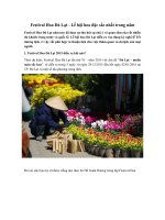 Tải Festival hoa Đà Lạt - Lễ hội hoa đặc sắc nhất trong năm - Tất cả những điều cần biết về Festival hoa Đà Lạt 2016