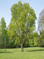 Luyện tập thuyết trình, tranh luận