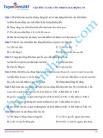 Bài tập trắc nghiệm lý thuyết: Vận tốc và gia tốc trong dao động điều hòa ( có đáp án)