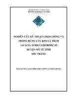 Nghiên cứu kỹ thuật chọn giống và trồng rừng cây keo lá tràm ở huyện Mỹ Tú tỉnh Sóc Trăng