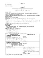 GIÁO ÁN TUẦN 11