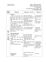 giáo án nhánh 1 chủ đề nhánh Cây khoai tây