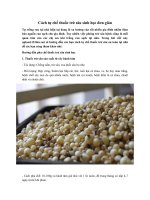 Tải Cách tự chế thuốc trừ sâu sinh học đơn giản - Tự chế thuốc trừ sâu an toàn, hiệu quả