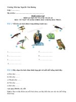 2020): Luyện từ và câu - Từ ngữ về loài chim. Dấu chấm phẩy