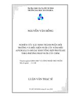 Nghiên cứu xác định thành phần môi trường và điều kiện nuôi cấy nấm mốc aspergillus oryzae sinh tổng hợp protease theo phương pháp nuôi cấy chìm 