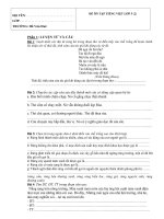 Nội dung ôn tập môn Tiếng Việt Khối Lớp 5 (đề số 02)