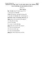 Môn tiếng việt lớp 3 tuần 22 tập đọc bài: Cái cầu