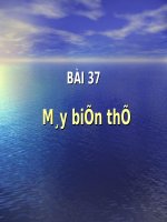 Giáo án pp Vật lý 9 Tiet 40 may bien the 