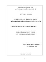 Nghiên cứu đặc tính giao thông thành phố Hồ Chí Minh trong giờ cao điểm