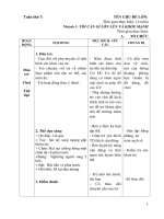 TUẦN 7 TÔI CẦN GÌ LỚN LÊN VÀ KHỎE MẠNH