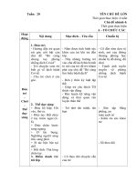 giáo án nhánh 4 chủ đề Thế giới các loại cây quanh bé