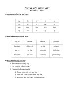 NỘI DUNG ÔN TẬP TRỰC TUYẾN MÔN TIẾNG VIỆT - KHỐI LỚP 1 (ĐỀ SỐ 05)