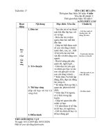 GIÁO ÁN CHỦ NHIỆM nhánh 3: MỘT SỐ CON VẬT SỐNG DƯỚI NƯỚC