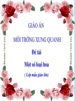 Khám phá: Một số loài hoa