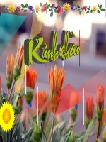 Toán 4: Thực hành vẽ hình chữ nhật