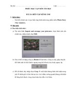 Môn Tin học Khối 5 Tuần 24