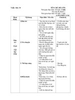 Giáo án chủ nhiệm tuần 34: Trường tiểu học