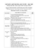 Giáo án chủ đề : Quê hương đất nước - Bác Hồ