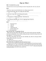 Nội dung ôn tập môn Tiếng Việt Khối Lớp 5 (đề số 02)