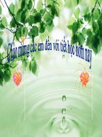 Tiểu học Đô thị Sài Đồng | Ôn luyện gõ