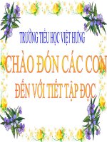 Môn: Tập đọc Lớp 1Bài: Hai chị em