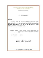 Nghiên cứu ổn định và biến dạng của nền đất sét yếu và chịu ngập lũ sâu dưới công trình đường đồng bằng cấp 80 (cấp iii) qua tỉnh đồng tháp và vùng phụ cận  